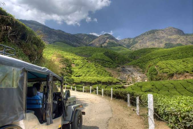 kolukkumalai tea